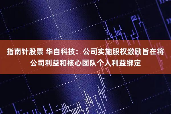 指南针股票 华自科技：公司实施股权激励旨在将公司利益和核心团队个人利益绑定