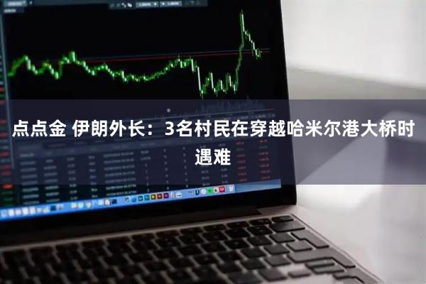 点点金 伊朗外长：3名村民在穿越哈米尔港大桥时遇难